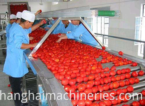 Automatic Tomato Processing Line